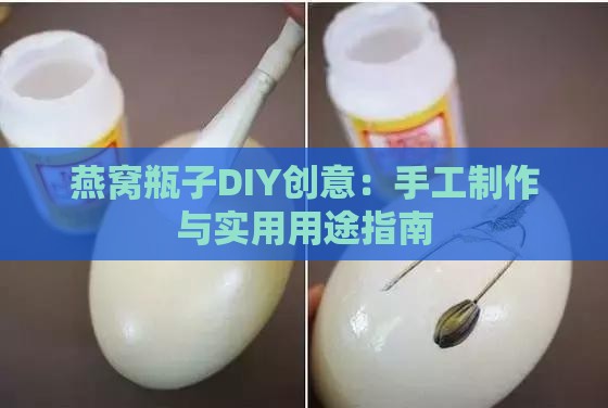 燕窝瓶子DIY创意：手工制作与实用用途指南