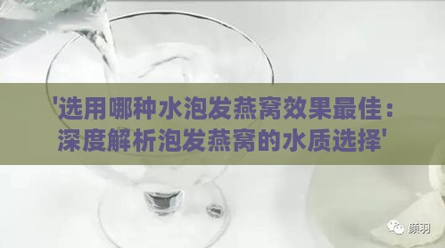 '选用哪种水泡发燕窝效果更佳：深度解析泡发燕窝的水质选择'