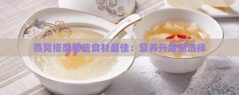 燕窝搭配哪些食材更佳：营养升级新选择