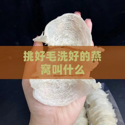 挑好毛洗好的燕窝叫什么