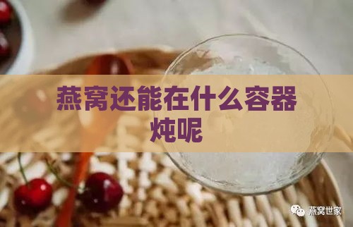 燕窝还能在什么容器炖呢