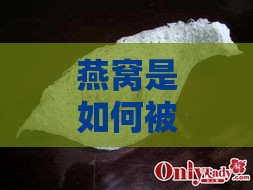 燕窝是如何被发现的：原理与发现过程详解