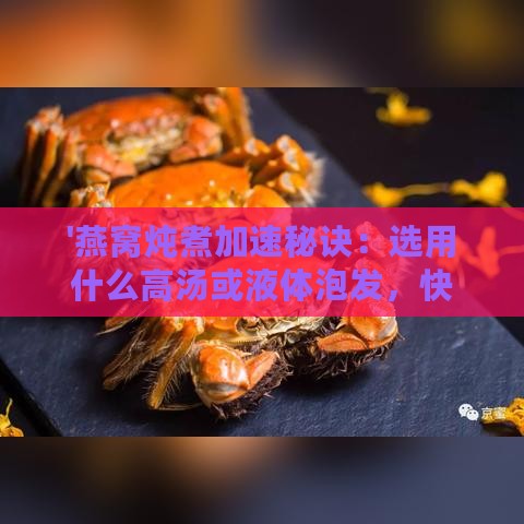 '燕窝炖煮加速秘诀：选用什么高汤或液体泡发，快速炖煮新技巧'