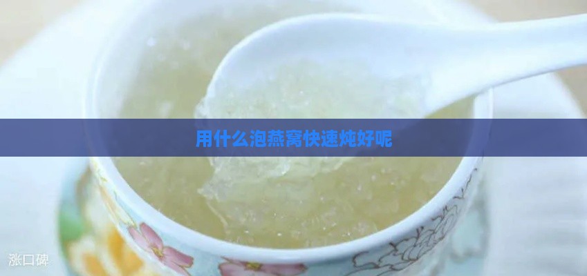 用什么泡燕窝快速炖好呢