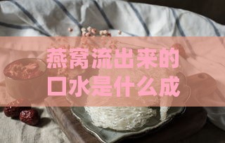 燕窝流出来的口水是什么成分及其组成成分分析