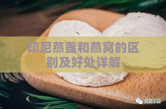 印尼燕盏和燕窝的区别及好处详解