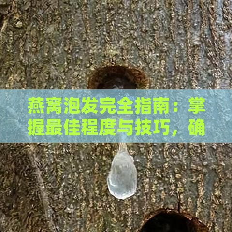 燕窝泡发完全指南：掌握更佳程度与技巧，确保口感与营养完美释放