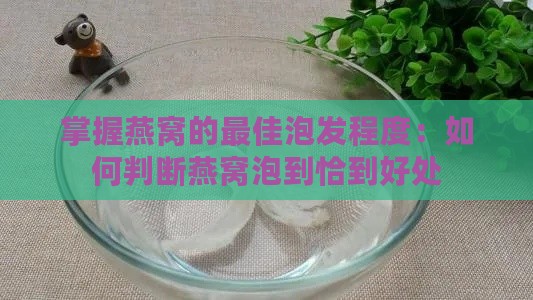 掌握燕窝的更佳泡发程度：如何判断燕窝泡到恰到好处