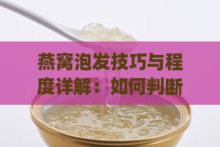 燕窝泡发技巧与程度详解：如何判断燕窝泡发是否恰到好处