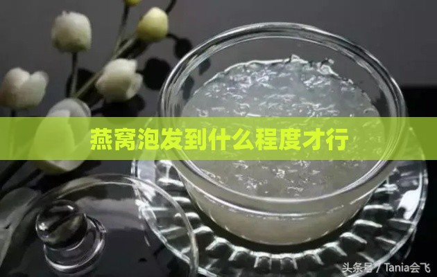 燕窝泡发到什么程度才行