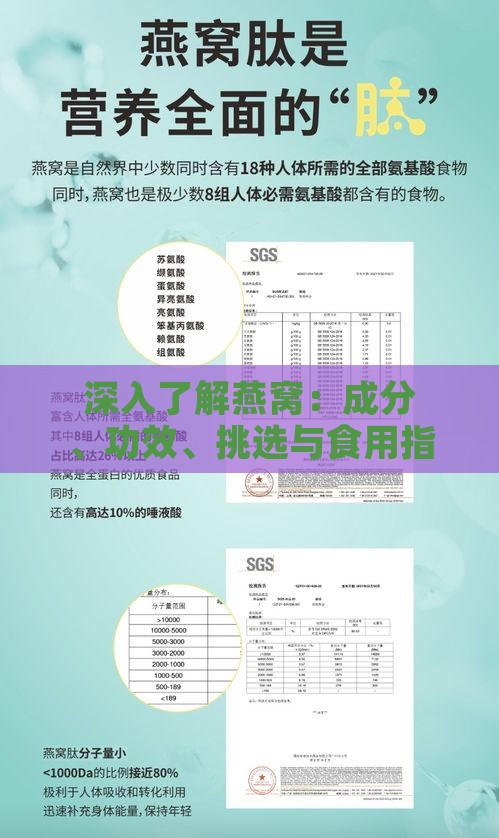 深入了解燕窝：成分、功效、挑选与食用指南