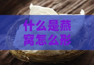 什么是燕窝怎么形成的呢