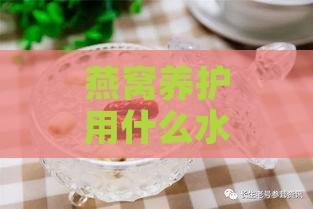 燕窝养护用什么水更好用