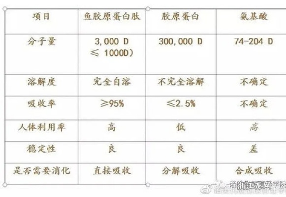 燕窝胶原蛋白：更佳饮用时间、效果评估与常见疑问解答