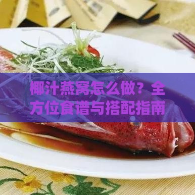 椰汁燕窝怎么做？全方位食谱与搭配指南