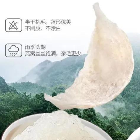 燕窝加什么椰汁推荐喝的