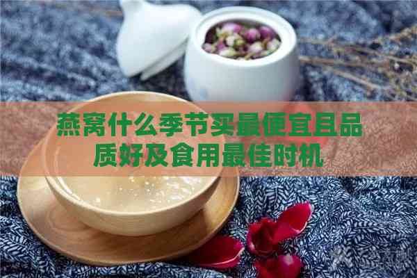 燕窝什么季节买更便宜且品质好及食用更佳时机