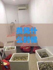 燕窝什么时候进货便宜些