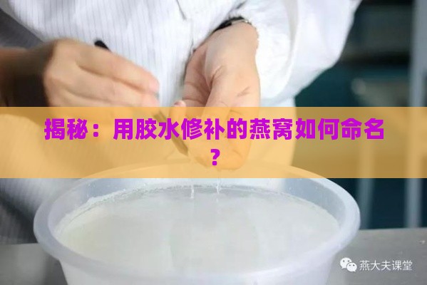 揭秘：用胶水修补的燕窝如何命名？