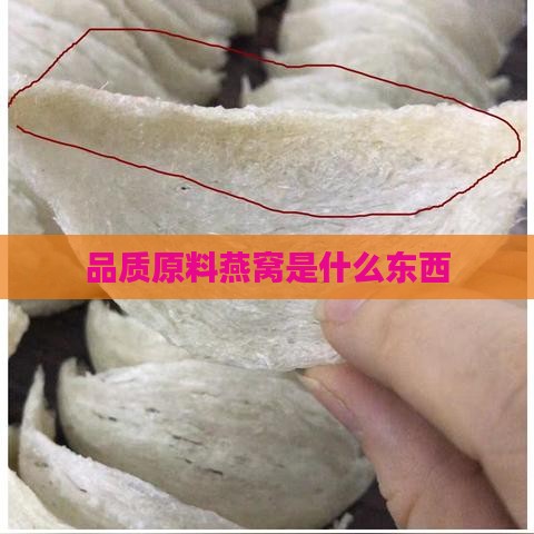 品质原料燕窝是什么东西