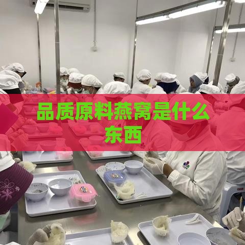 品质原料燕窝是什么东西