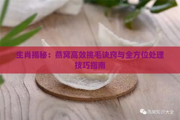 生肖揭秘：燕窝高效挑毛诀窍与全方位处理技巧指南