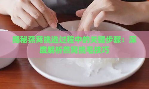 揭秘燕窝挑选过程中的关键步骤：深度解析燕窝挑毛技巧