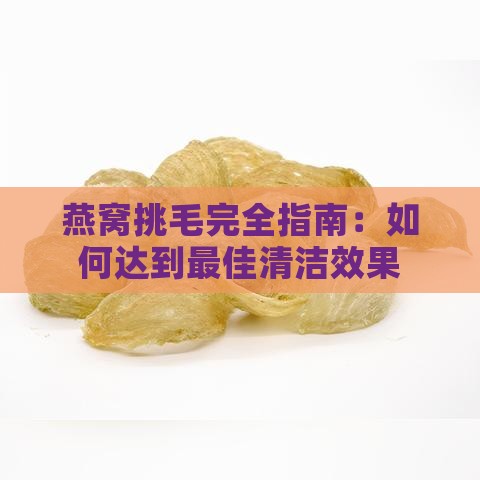 燕窝挑毛完全指南：如何达到更佳清洁效果与保留营养价值