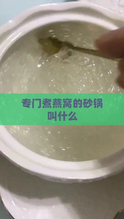 专门煮燕窝的砂锅叫什么