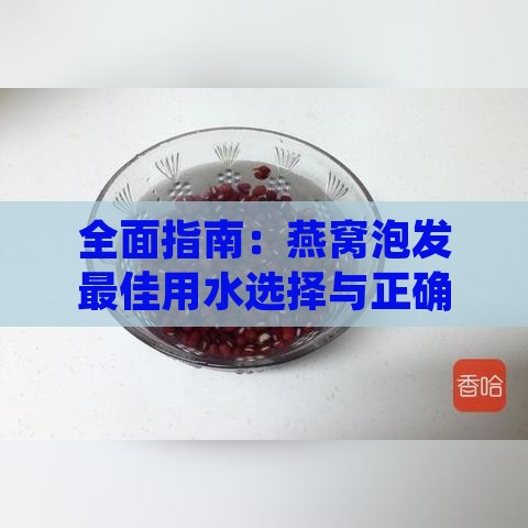 全面指南：燕窝泡发更佳用水选择与正确方法，确保口感与营养更大化