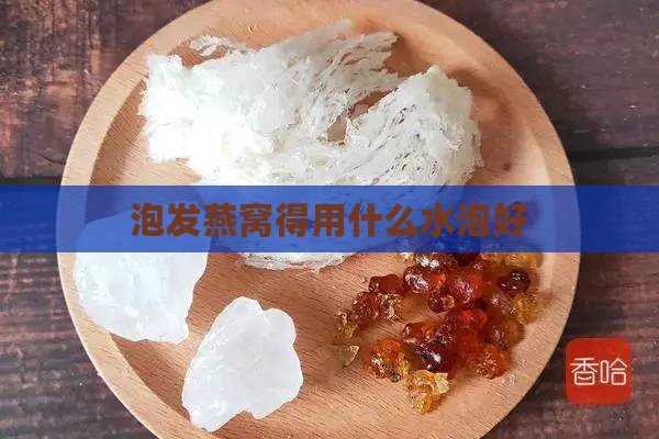 泡发燕窝得用什么水泡好