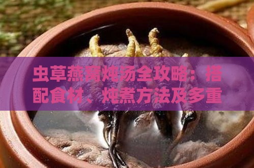 虫草燕窝炖汤全攻略：搭配食材、炖煮方法及多重功效解析