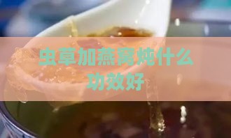 虫草加燕窝炖什么功效好