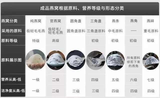 燕窝选购指南：详解重量标准与品质判断全攻略