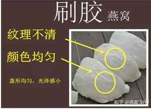 探究燕窝颜色偏黑对其品质的影响与优劣