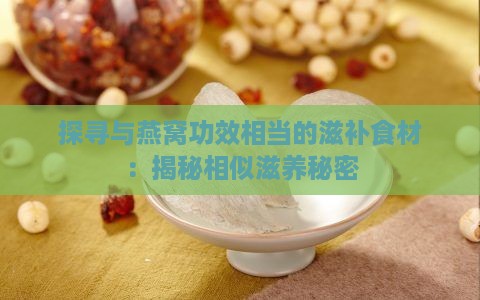 探寻与燕窝功效相当的滋补食材：揭秘相似滋养秘密