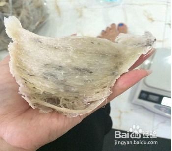 食燕窝对女人有什么好处和功效：女性食用燕窝的好处与作用探究