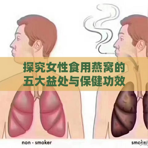 探究女性食用燕窝的五大益处与保健功效