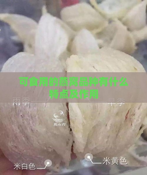 可食用的燕窝品种有什么特点及作用