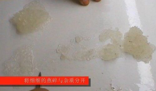 揭秘：燕窝的制作原料及可食用燕窝的精细加工过程