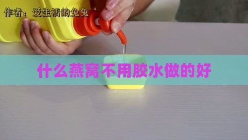 什么燕窝不用胶水做的好