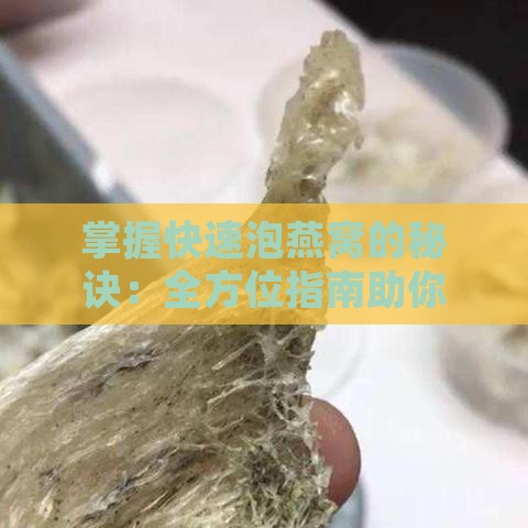 掌握快速泡燕窝的秘诀：全方位指南助你轻松享用滋养美味