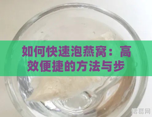 如何快速泡燕窝：高效便捷的方法与步骤