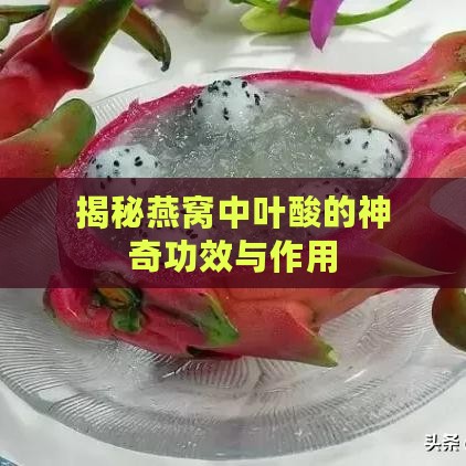 揭秘燕窝中叶酸的神奇功效与作用