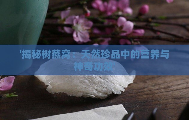 '揭秘树燕窝：天然珍品中的营养与神奇功效'