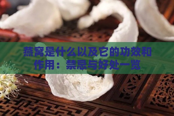 燕窝是什么以及它的功效和作用：禁忌与好处一览