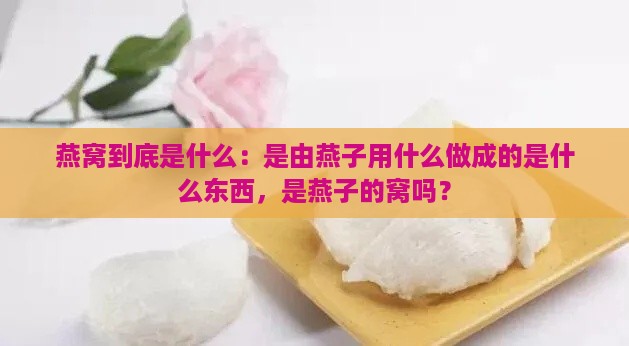 燕窝到底是什么：是由燕子用什么做成的是什么东西，是燕子的窝吗？