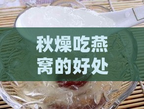 秋燥吃燕窝的好处：秋季食用燕窝的益处与注意事项