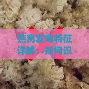 燕窝发霉特征详解：如何识别与预防燕窝变质现象