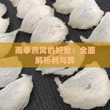 雨季燕窝的好处：全面解析利与弊